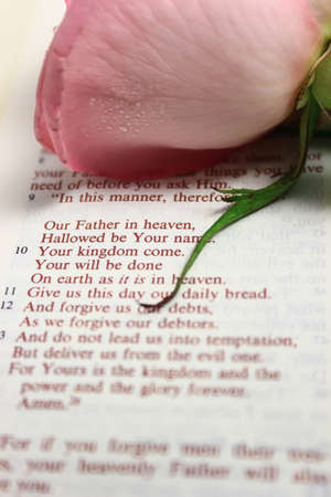 A Bible open to the Lord's prayer with a pink rose above the prayer.