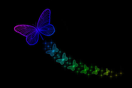 Florescent Colorful Butterflyの写真素材