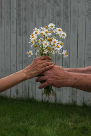 Daisy Loveの写真素材