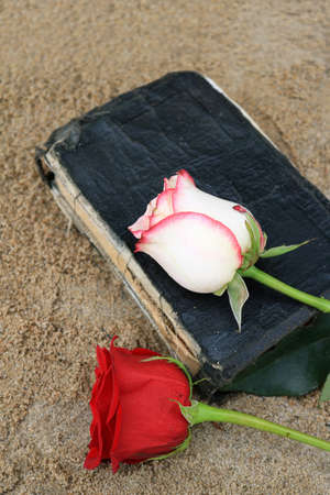 Old Black Book on the Beach Sandの写真素材