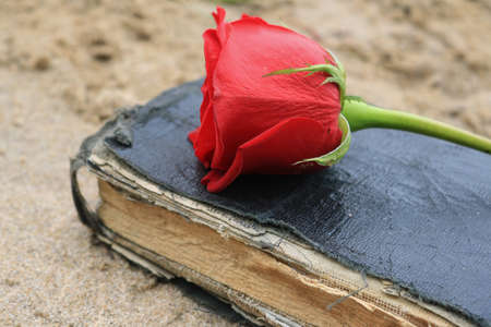 Old Black Book on Beach Sand
