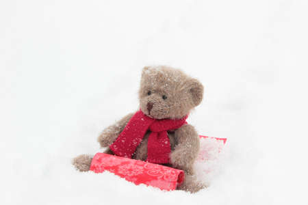 Teddy bears sledding in the winter snowの写真素材