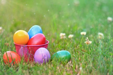Basket of colorful easter eggs in the grass.の写真素材