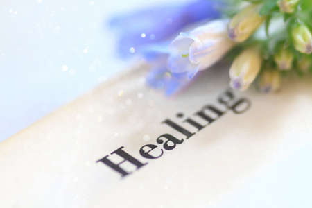 Bluebells displayed on a book with the words healing.の写真素材