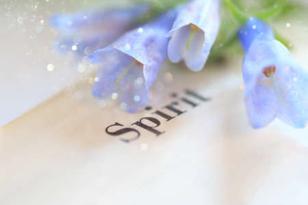 Bluebell flowers displayed beside the word spirit on a book
