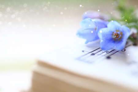 Bluebell flowers displayed on music notes