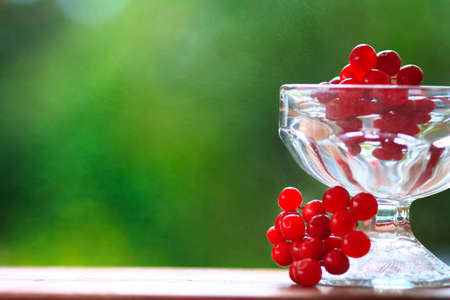 Bowl of bright red cranberries isolated on a green background