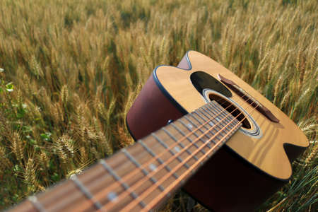 Close up of an acoustic guitar in a wheat field