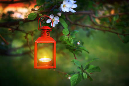 Evening scence of a hanging lantern in a tree branchの写真素材