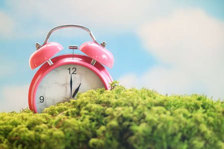 Spring scene of a pink alarm clock sitting in the moss under a blue sky