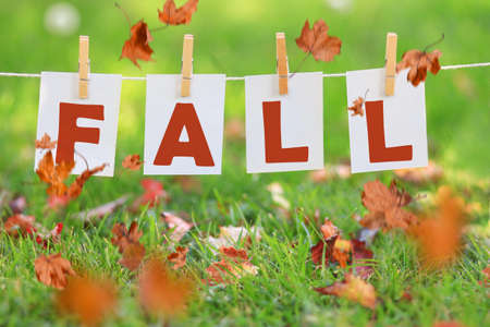 Word fall written on paper hanging in a row above autumn leaves in the grass