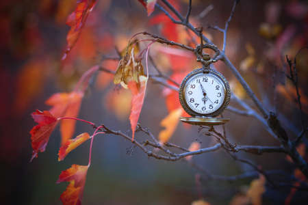 Pocket watch hanging from a branch of orange autumn leaves