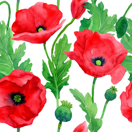 Watercolor hand drawn poppies seamless pattern. Botany illustration of red poppy. Field of red flowers. Design for background, packaging, cover, decor, textile elements.の写真素材