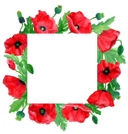Watercolor hand drawn round frame of poppy flowers. Botany illustration of red poppies. field flower. Border with herbs. Design elements for packaging, cover, decor, textile, cardsの写真素材