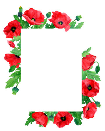 Watercolor hand drawn frame of poppy flowers and leaves. Botany illustration of red poppies. field flower. Border with herbs. Design elements for packaging, cover, decor, textile,の写真素材