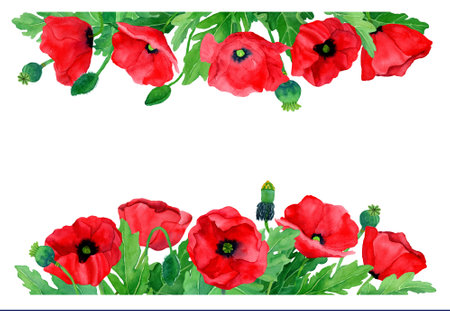 Watercolor hand drawn wreath of poppy flowers and leaves. Botany illustration of red poppies. Field flower frame. Border with herbs. Design elements for packaging, cover, decor, teの写真素材