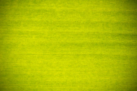 green banana leaf texture backgroundの写真素材