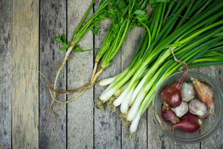 onion welsh, onion, garlic and coriander on wood plank, vegetable backgroundの写真素材