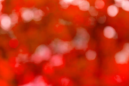abstract red bokeh nature background, defocused