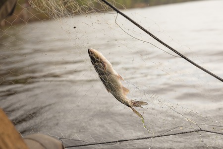 fishing nets on a boat