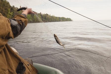 fishing nets on a boat