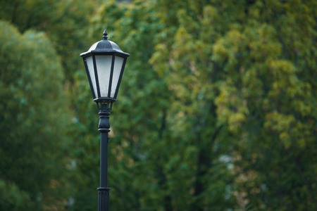 lamp post in the background of the treeの写真素材