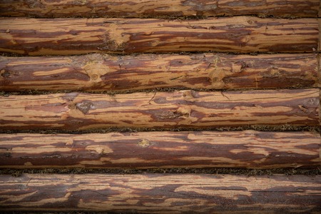 Wall made of timber old wooden. background of a texturedの写真素材