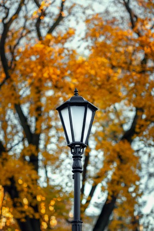 old lamppost on a background of autumn trees. street lighting