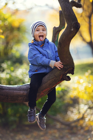 A little boy sits on a branch of a tree and shows his tongue. baby crawling on the treeの写真素材