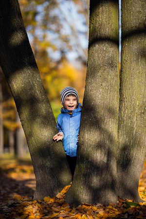 Little boy on a tree branch. baby climbs a treeの写真素材