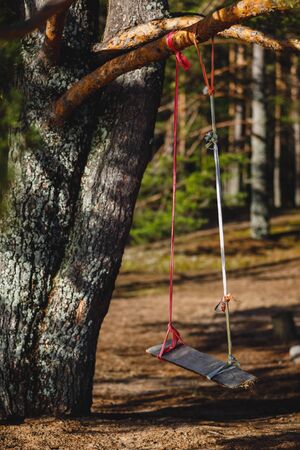 swing on the beach. pine forest and sand.の写真素材