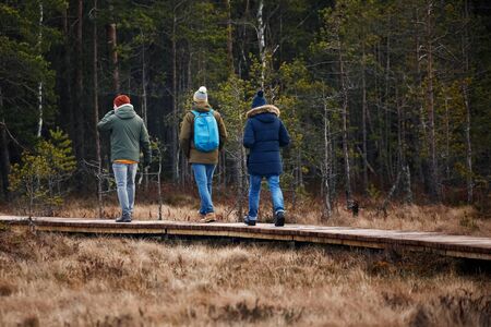 people walking through the woods, view from the back