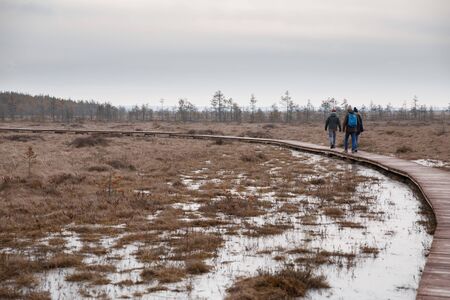 people walking through the woods, view from the back