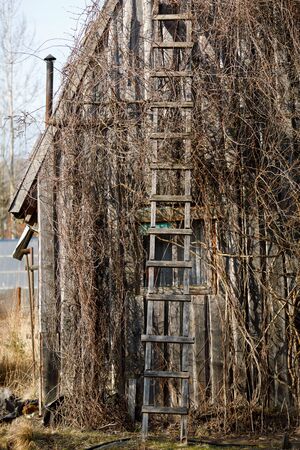 wooden staircase on the roof backgroundの写真素材