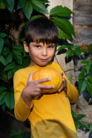 Portrait of a boy in nature with a pumpkin in his hands. yellow on the background of yellowの写真素材
