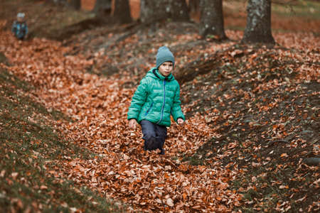A boy in the autumn plays with leaves in the parkの写真素材