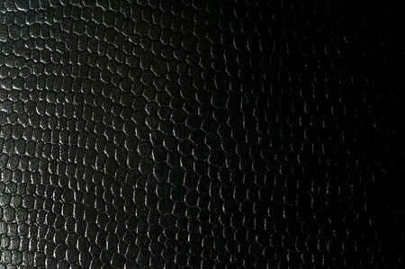 crocodile skin, abstract background, macro photography