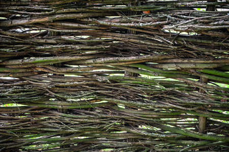 lots of stripped sticks arranged as a fenceの写真素材