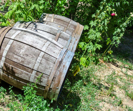 old rusty painted barrels outdoors. old rusty drums background.
