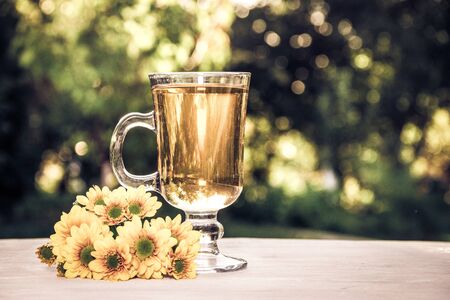Evening tea in the summer garden. Romantic concept. Copy spaceの写真素材