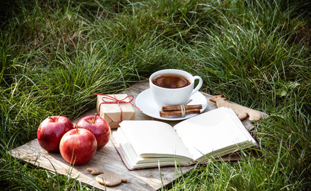 Tea with cinnamon, apples and an open book on the grass. Gifts of autumn. Harvest.の写真素材