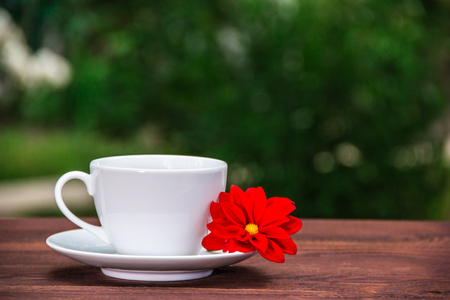 White cup of tea and red flower on a wooden table in a green garden. Copy space. Blurred Backgroundの写真素材