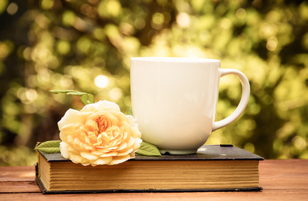Cup of tea, old book and  rose in the summer garden. Coffee and book. Tea in the garden.の写真素材