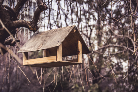 Bird feeder in spring park. Birdhouse on the willow.