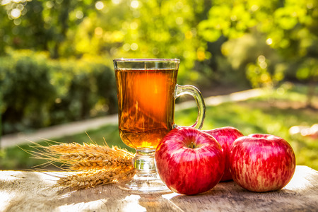 Cup of hot tea in the garden. Red apples and tea. Spiced Apple Tea. Autumn conceptの写真素材