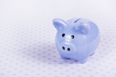Blue piggy bank. Symbol of the year. Copy spaceの写真素材