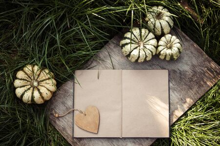Open book and pumpkins. Small pumpkins on  wooden board. Autumn mood paper backgroundの写真素材