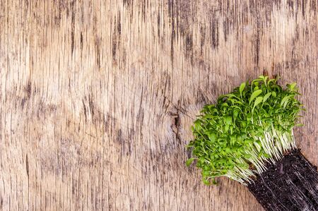 Microgreen on wooden background. Microgreen watercress. Fresh aromatic tasty healthy herb.の写真素材