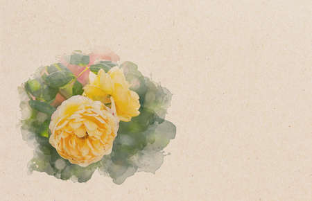 Tender yellow roses, digitally created watercolor paintingの写真素材