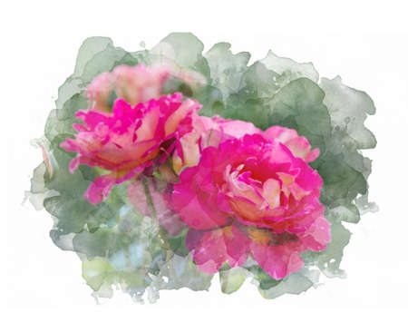Red roses on green background, digitally created watercolor paintingの写真素材